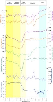 Marine Paleoproductivity From the Last Glacial Maximum to the Holocene in the Southwestern Atlantic: A Coccolithophore Assemblage and Geochemical Proxy Perspective